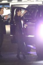 DAKOTA JOHNSON at Beyonce and Jay-Z On the Run II Tour in Pasadena 09/23/2018