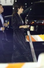 DAKOTA JOHNSON at Beyonce and Jay-Z On the Run II Tour in Pasadena 09/23/2018