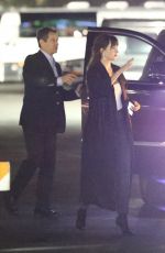 DAKOTA JOHNSON at Beyonce and Jay-Z On the Run II Tour in Pasadena 09/23/2018