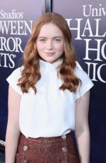 SADIE SINK at Halloween Horror Nights Opening in Los Angeles 09/14/2018
