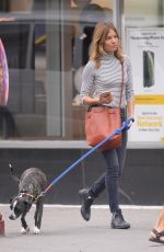 SIENNA MILLER Walks Her Dog Out in New York 09/21/2018