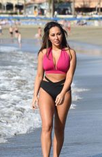 SOPHIE KASAEI in Bikini at a Beach in Mykonos 09/19/2018