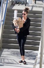 ALESSANDRA AMBROSIO Out Shopping in Los Angeles 10/17/2018
