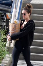 ALESSANDRA AMBROSIO Out Shopping in Los Angeles 10/17/2018