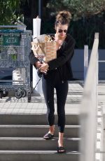 ALESSANDRA AMBROSIO Out Shopping in Los Angeles 10/17/2018