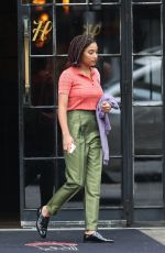 AMANDLA STENBERG Out in New York 01/15/2018