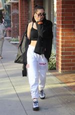 AMELIA HAMLIN at a Beauty Salon in Beverly Hills 10/25/2018