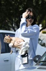 AMELIA HAMLIN with Her Dog in Beverly Hills 10/06/2018