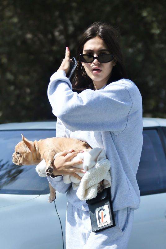 AMELIA HAMLIN with Her Dog in Beverly Hills 10/06/2018