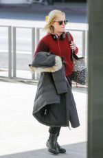 AMY POEHLER at LAX Airport in Los Angeles 10/24/2018