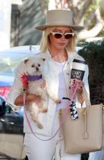 ASHLEY TISDALE Out with Her Dog in Studio City 10/27/2018