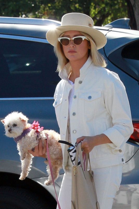 ASHLEY TISDALE Out with Her Dog in Studio City 10/27/2018