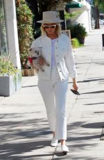 ASHLEY TISDALE Out with Her Dog in Studio City 10/27/2018