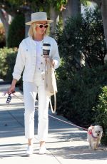ASHLEY TISDALE Out with Her Dog in Studio City 10/27/2018