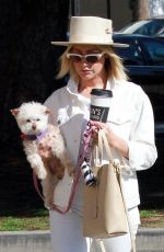 ASHLEY TISDALE Out with Her Dog in Studio City 10/27/2018