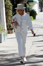 ASHLEY TISDALE Out with Her Dog in Studio City 10/27/2018