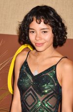 CHEYENNE HAYNES at Camping Premiere in Los Angeles 10/10/2018