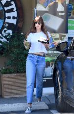 DAKOTA JOHNSON Out for Lunch at Earthbar in Los Angeles 10/18/2018