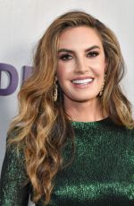 ELIZABETH CHAMBERS at Hammer Museum Gala in Los Angeles 10/14/2018