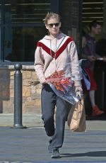 KATE MARA Out Shopping in Los Angeles 10/21/2018