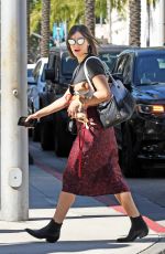 KATHARINE MCPHEE Out with Her Dog in Los Angeles 10/18/2018