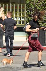 KATHARINE MCPHEE Out with Her Dog in Los Angeles 10/18/2018
