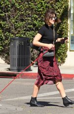 KATHARINE MCPHEE Out with Her Dog in Los Angeles 10/18/2018