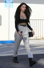 MADISON BEER Shopping for Dog Supplies at Petco in Los Angeles 10/10/2018