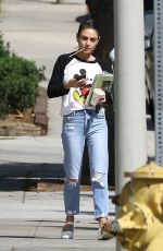 MILA KUNIS and Ashton Kutcher Out Kissing in Los Angeles 10/05/2018