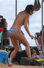 NICOLE SCHERZINGER in Bikini at a Beach in Hawaii 10/12/2018