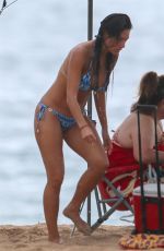 NICOLE SCHERZINGER in Bikini at a Beach in Hawaii 10/12/2018