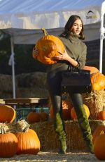 OLIVIA CULPO at a Pumpkin Patch in Los Angeles 10/26/2018