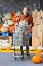 Pregnant HILARY DUFF Shopping at Whole Foods in Studio City 10/04/2018