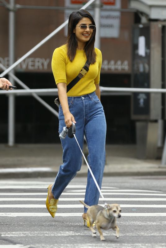 PRIYANKA CHOPRA Out with Her Dog in New York 10/10/2018
