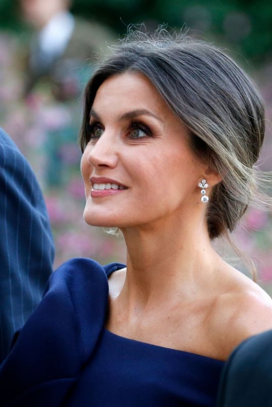 QUEEN LETIZIA OF SPAIN Arrives at Grand Palais in Paris 10/05/2018