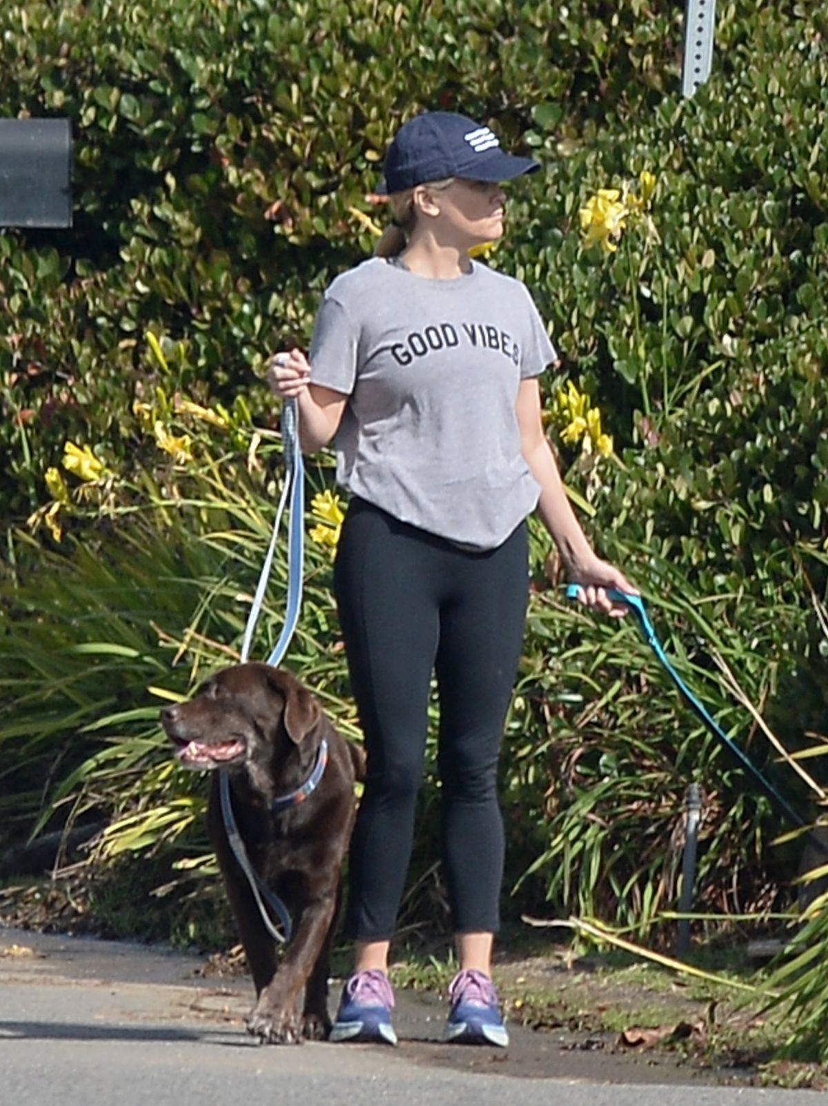 REESE WITHERSPOON Out with Her Dogs in Los Angeles 10/29/2018 – HawtCelebs