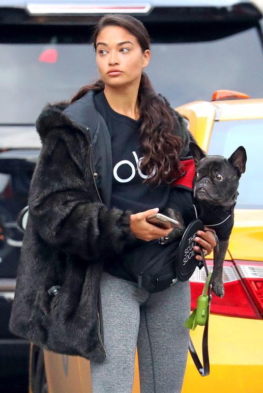 SHANINA SHAIK Out with Her Dog in New York 10/29/2018
