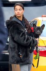 SHANINA SHAIK Out with Her Dog in New York 10/29/2018