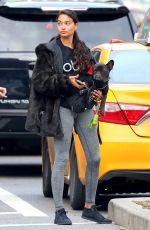 SHANINA SHAIK Out with Her Dog in New York 10/29/2018