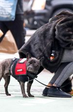 SHANINA SHAIK Out with Her Dog in New York 10/29/2018