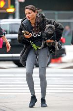 SHANINA SHAIK Out with Her Dog in New York 10/29/2018
