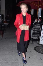 SHARON STONE Arrives at Craig