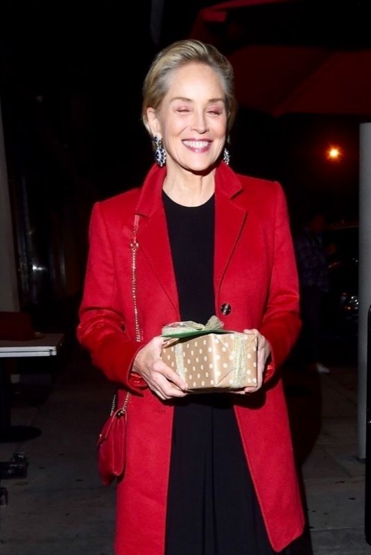 SHARON STONE Arrives at Craig