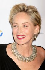 SHARON STONE at Drugs for Neglected Diseases Initiative Gala in New York 10/24/2018