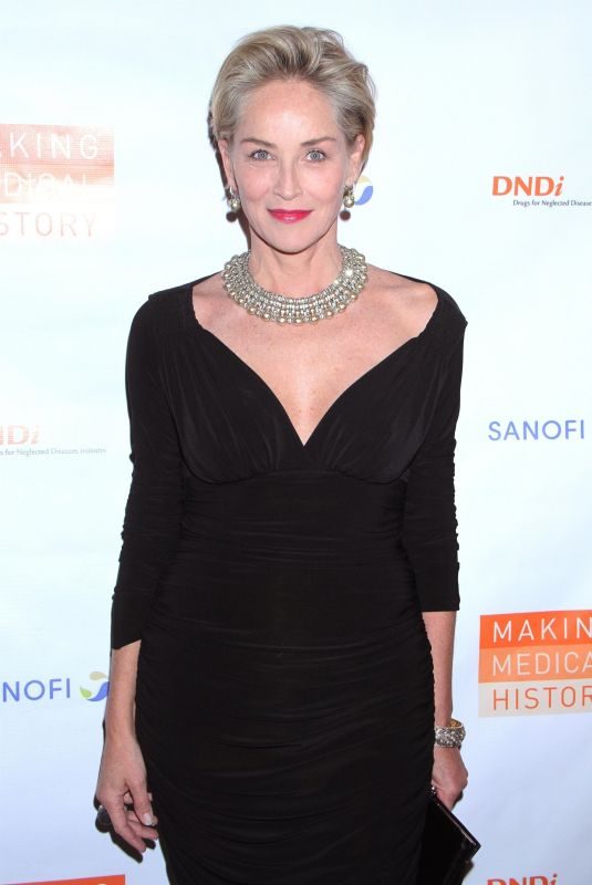 SHARON STONE at Drugs for Neglected Diseases Initiative Gala in New York 10/24/2018