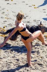 SHAUNA SEXTON in Bikini at a Beach in Malibu 10/06/2018