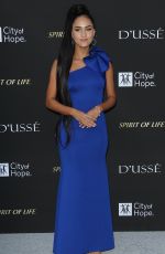 SKYLAR STECKER at City of Hope Gala in Los Angeles 10/11/2018