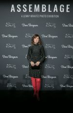 SUSAN SARANDON Assemblage Lenny Kravitz Exhibition in New York 09/28/2018