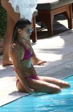 SYLVIE MEIS in Bikini at a Pool in Miami 10/01/2018