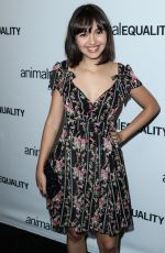 TAYLOR BLACKWELL at Animal Equality